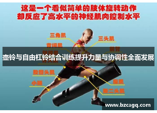 壶铃与自由杠铃结合训练提升力量与协调性全面发展