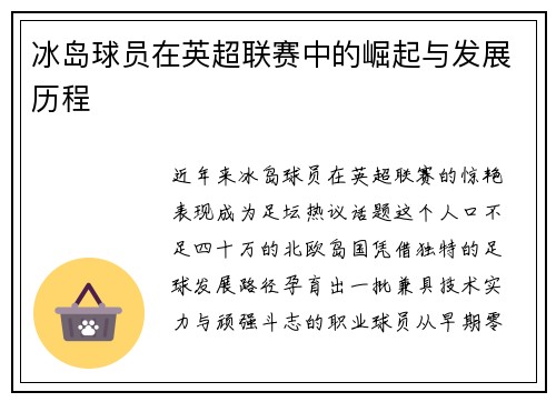 冰岛球员在英超联赛中的崛起与发展历程