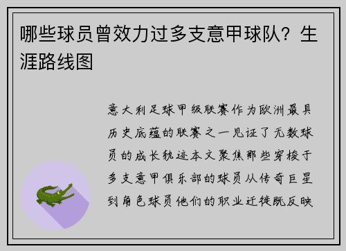 哪些球员曾效力过多支意甲球队？生涯路线图